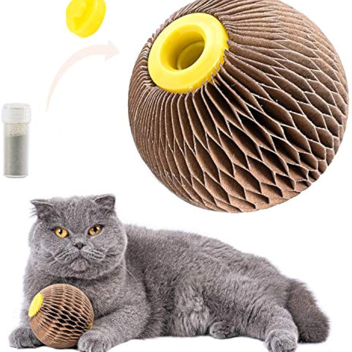 Catnip Refillable Toy Ball