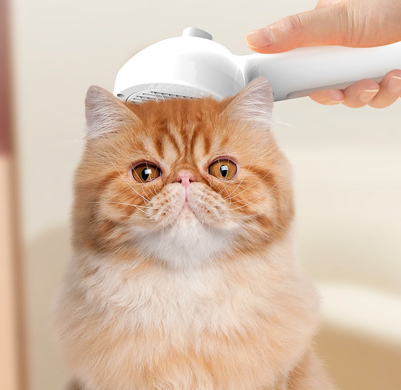 Mist Grooming Brush