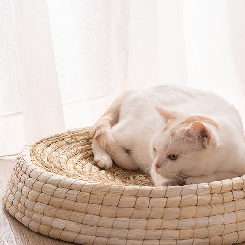 Cozy Pet Cat Bed