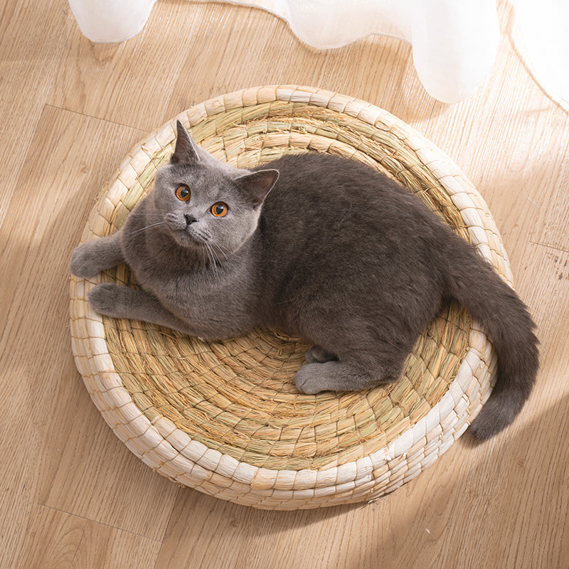 Cozy Pet Cat Bed