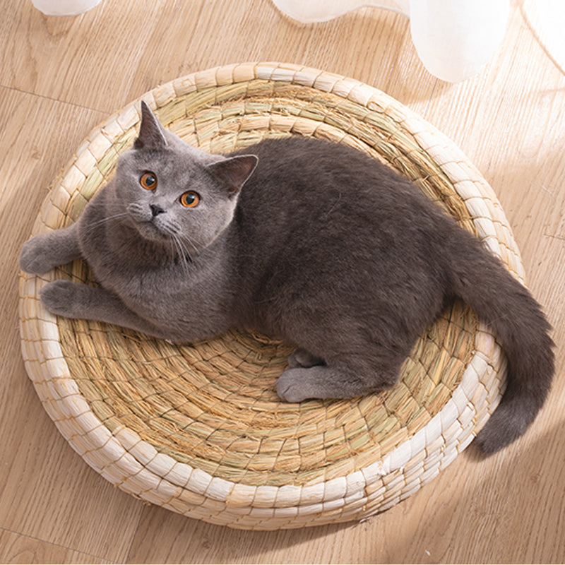 Cozy Pet Cat Bed