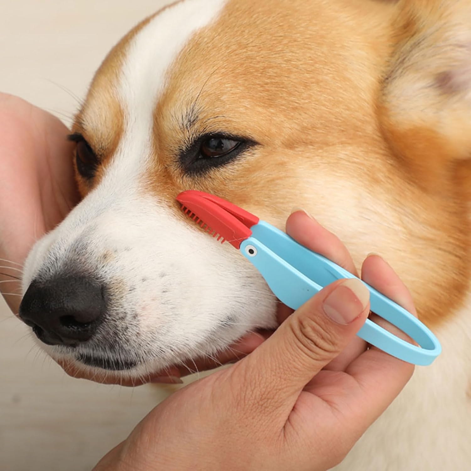 Pet Tear Stain Brush