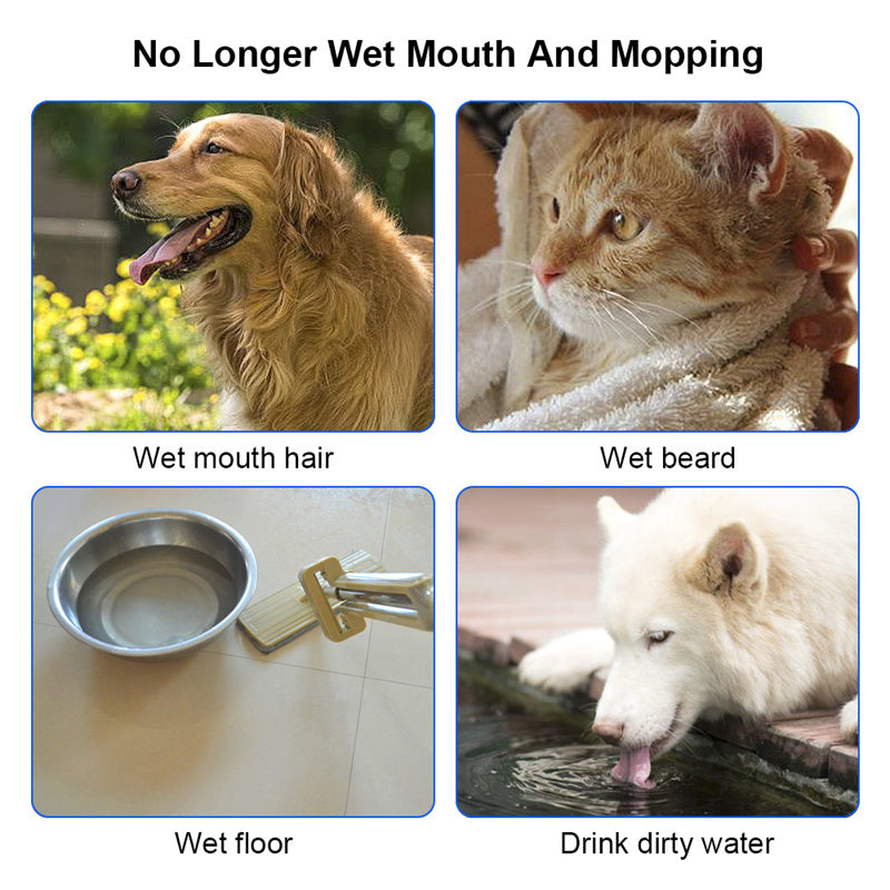 Anti-Overflow Slow Water Pet Feeder
