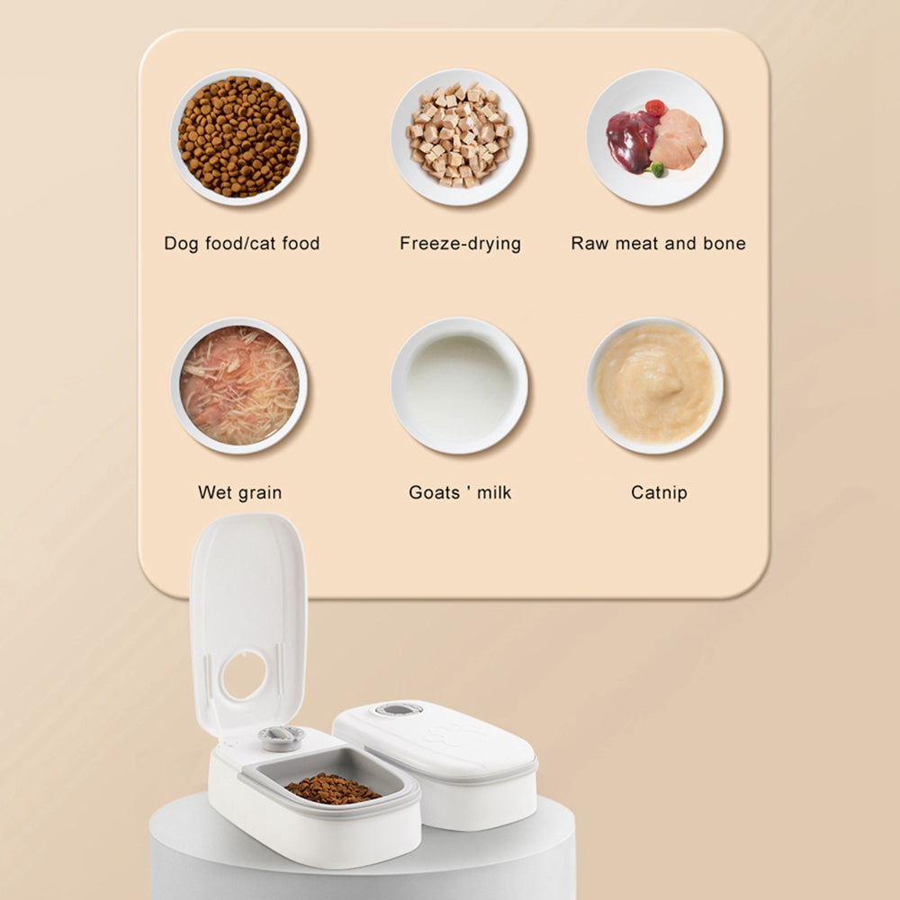 Timer Dog Cat Feeder