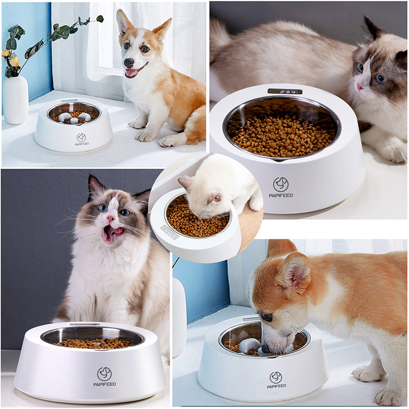 Smart Weighing Slow Feeder Pet Feeder