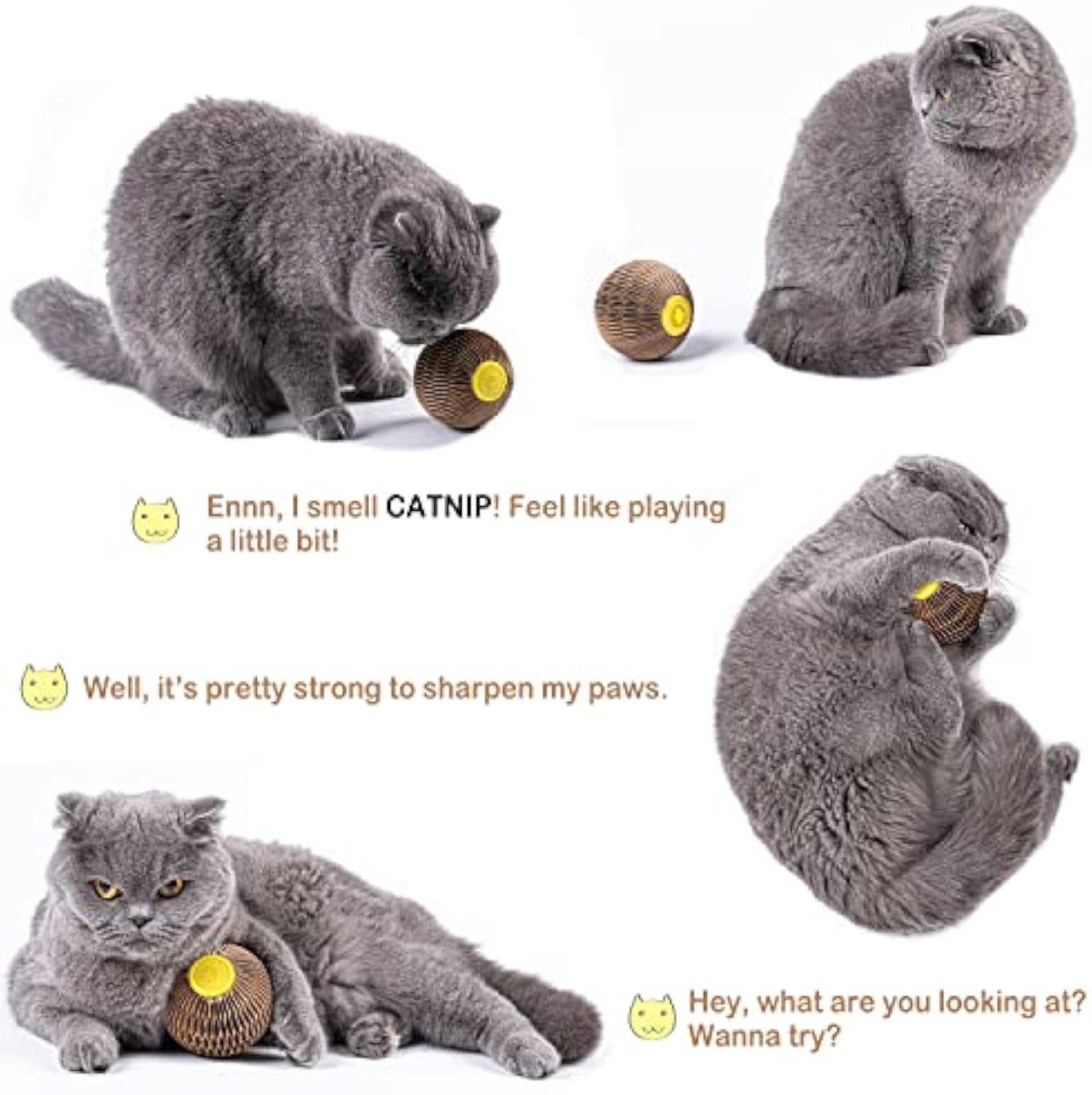 Catnip Refillable Toy Ball