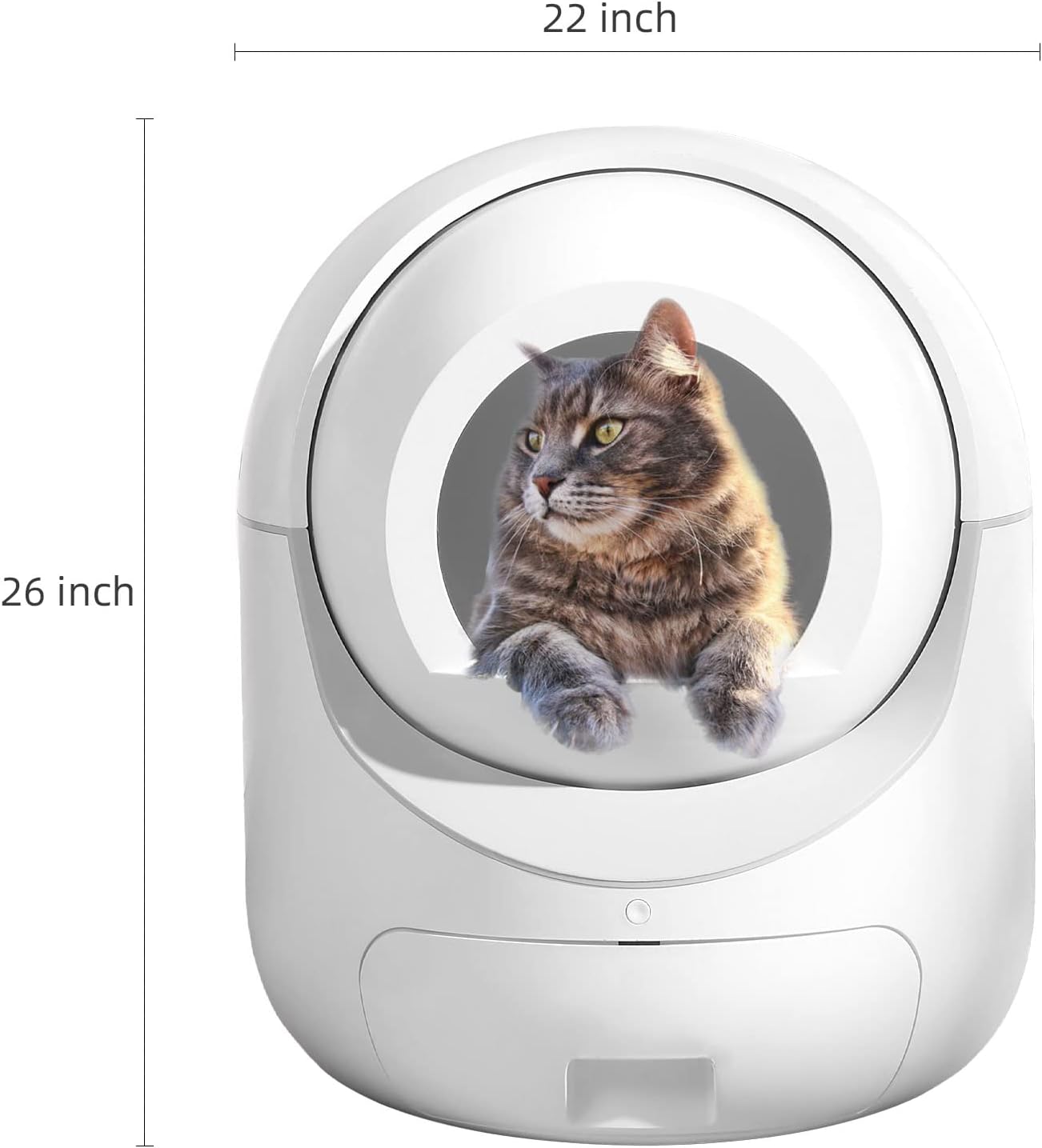 Automatic Cat Litter Box