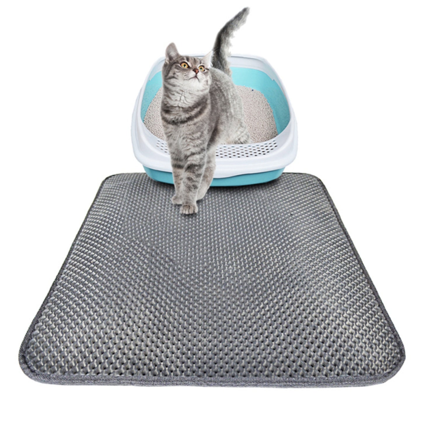 Double Layer Cat Mat