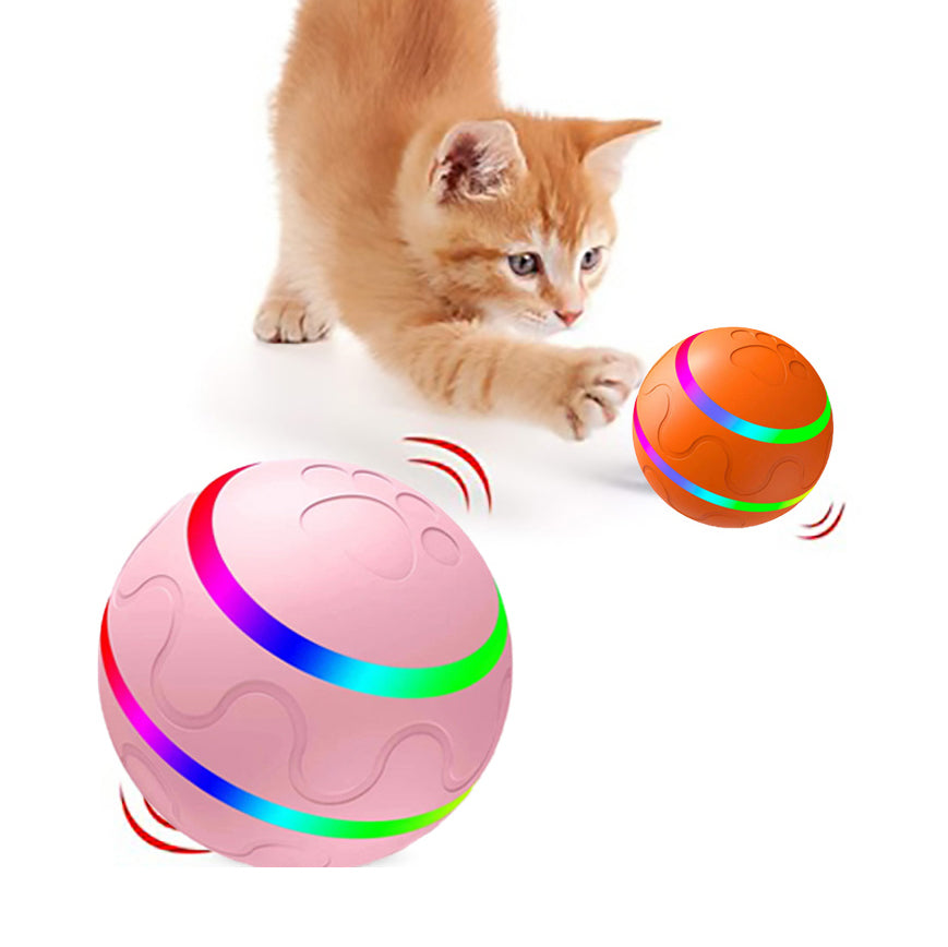 Intelligent Cat Play Ball