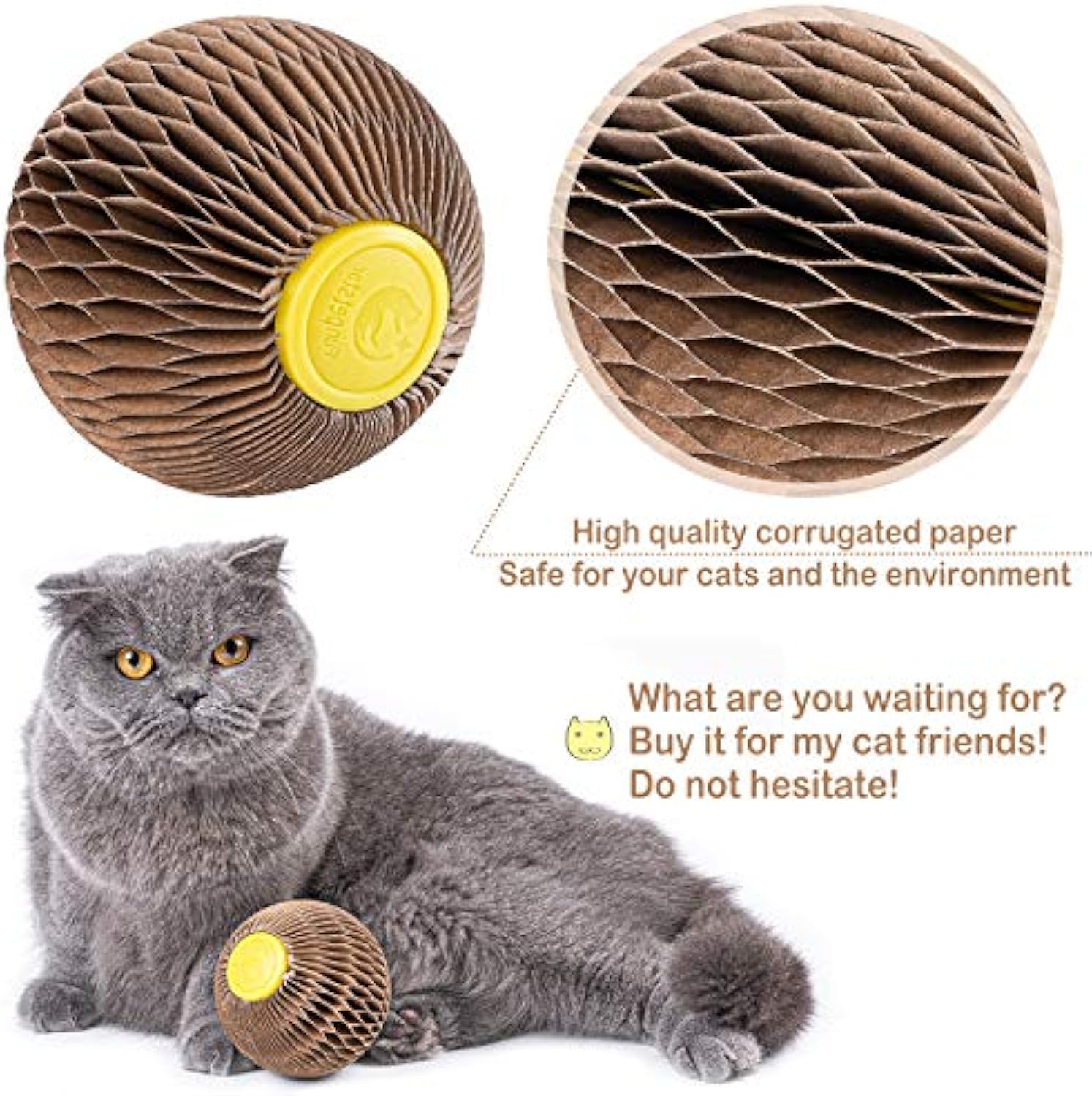 Catnip Refillable Toy Ball