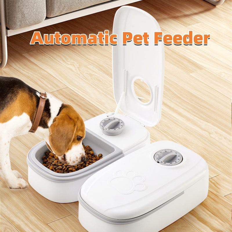 Timer Dog Cat Feeder