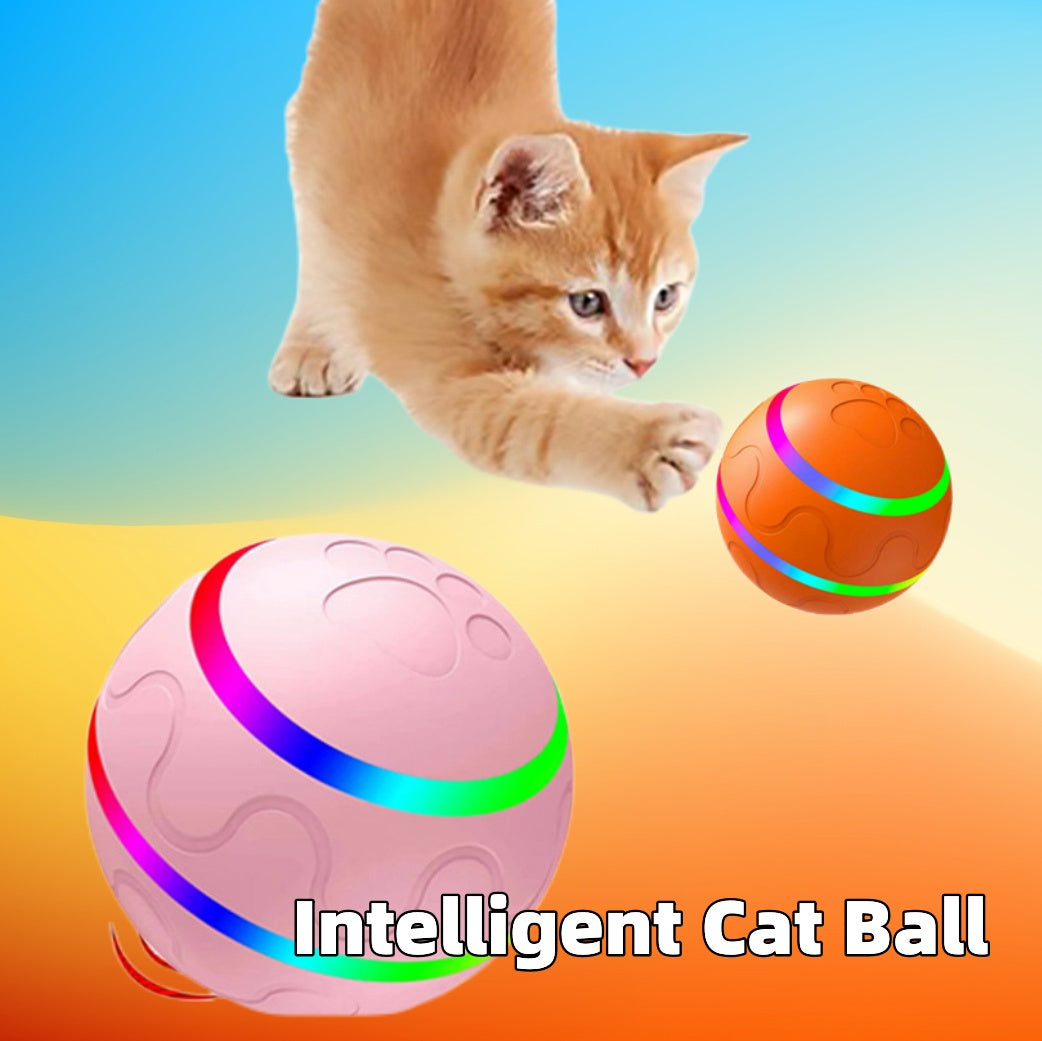 Intelligent Cat Play Ball