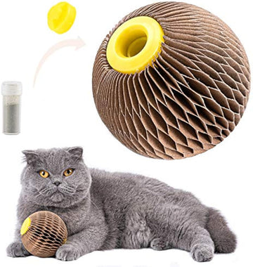Catnip Refillable Toy Ball