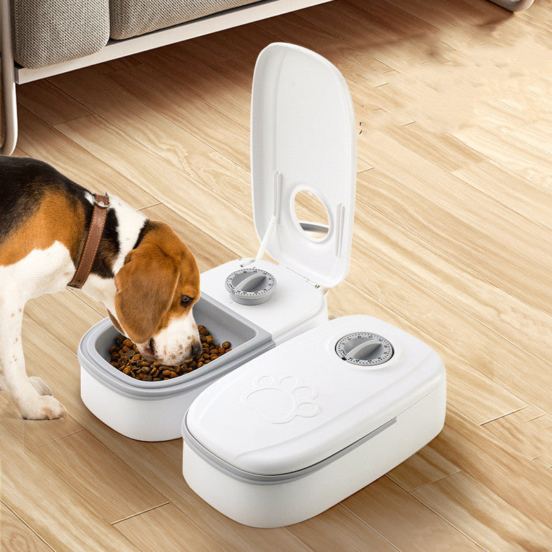 Timer Dog Cat Feeder